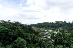 Normanton Park (D5), Apartment #457312811